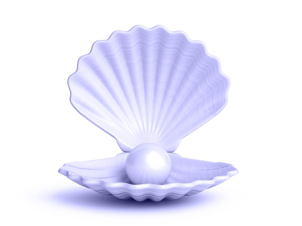 coaching Humanae Lyon